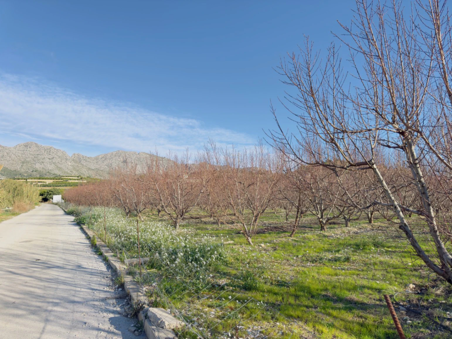 Terreno de 10000m2 urbanizable en Beniarbeig