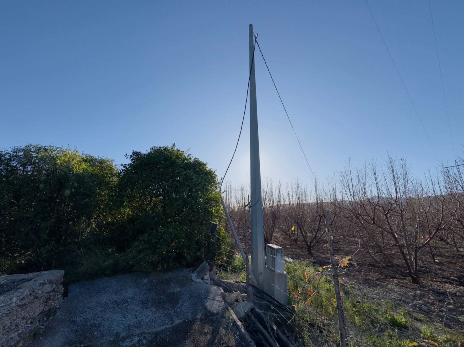 Terreno de 10000m2 urbanizable en Beniarbeig
