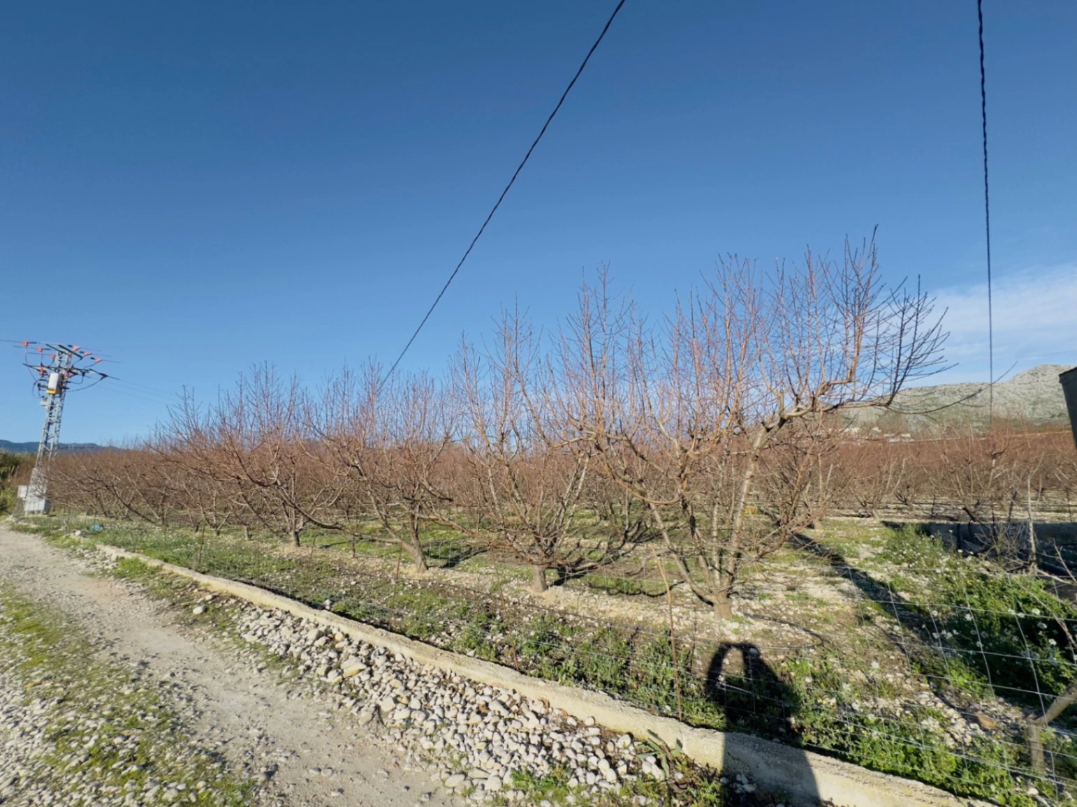 Terreno de 10000m2 urbanizable en Beniarbeig