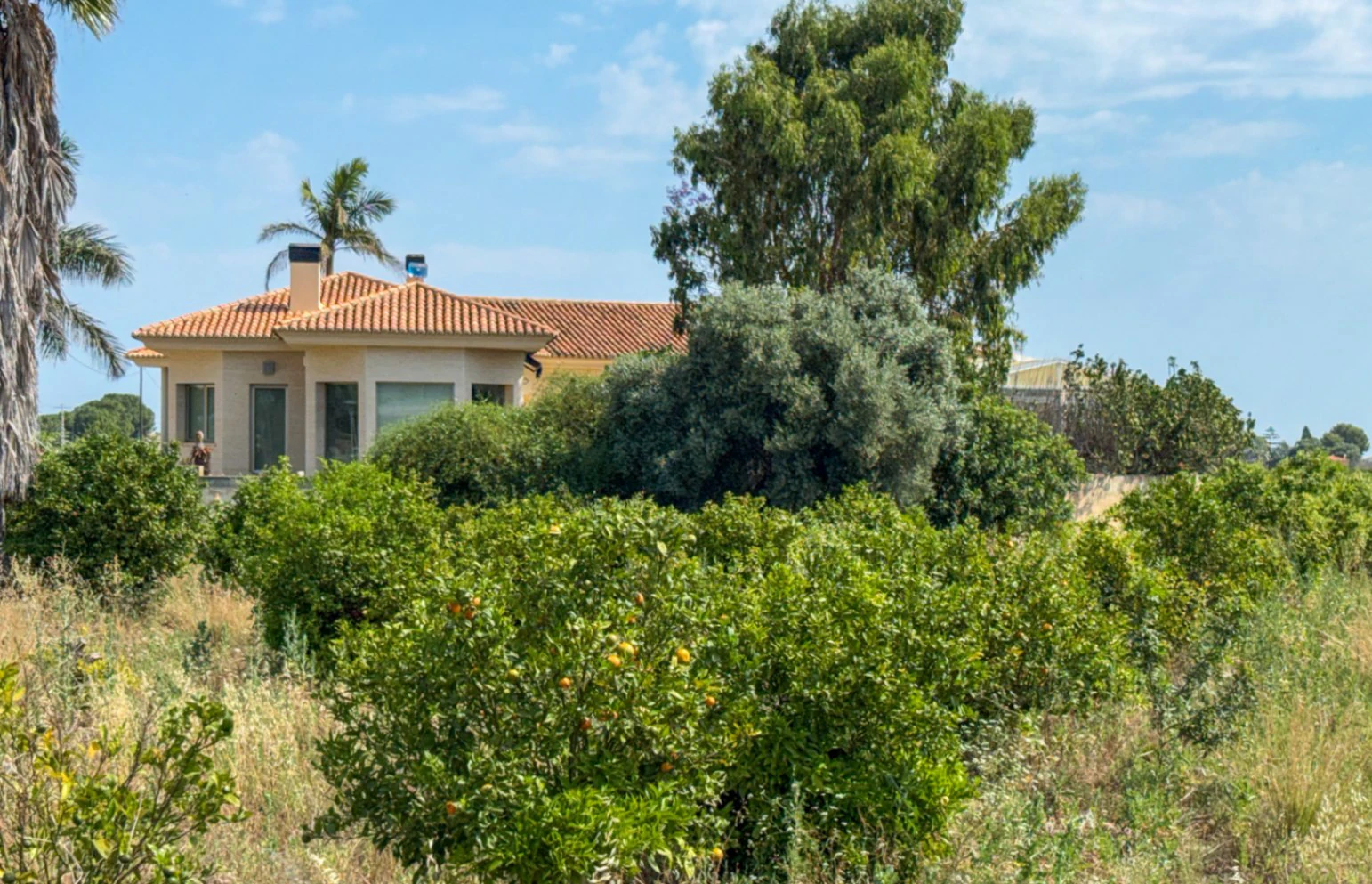 Espectacular Finca de Gran Extensión con Dos Viviendas y Piscina en El Verger.