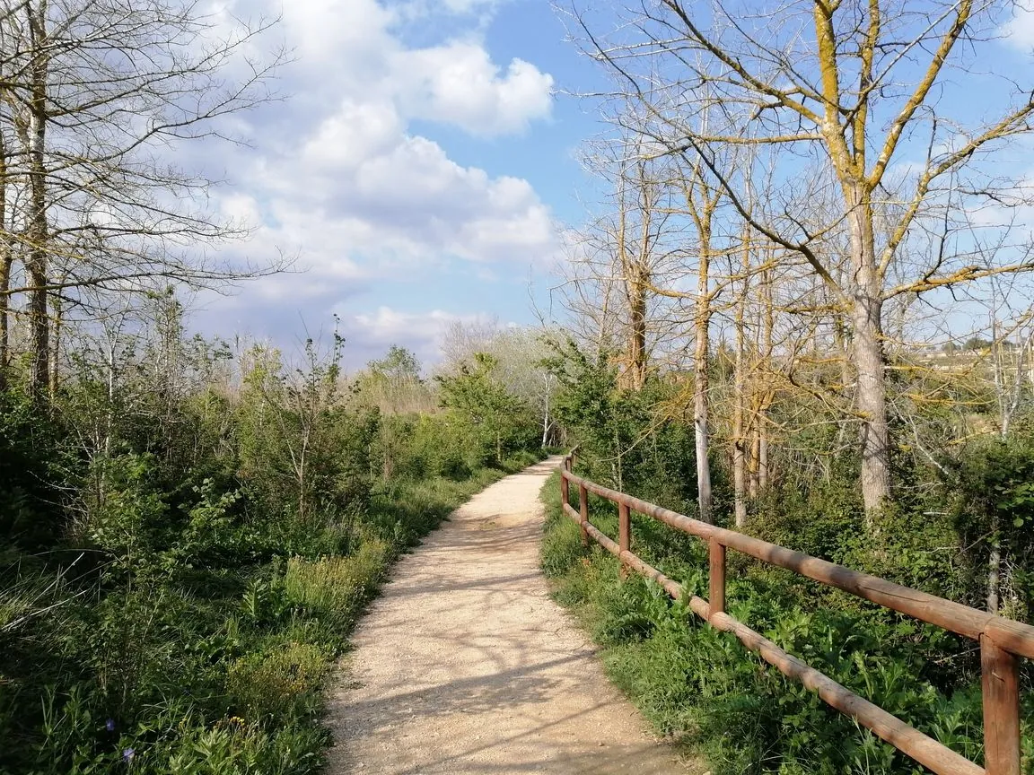 Finca en venta en Moraira
