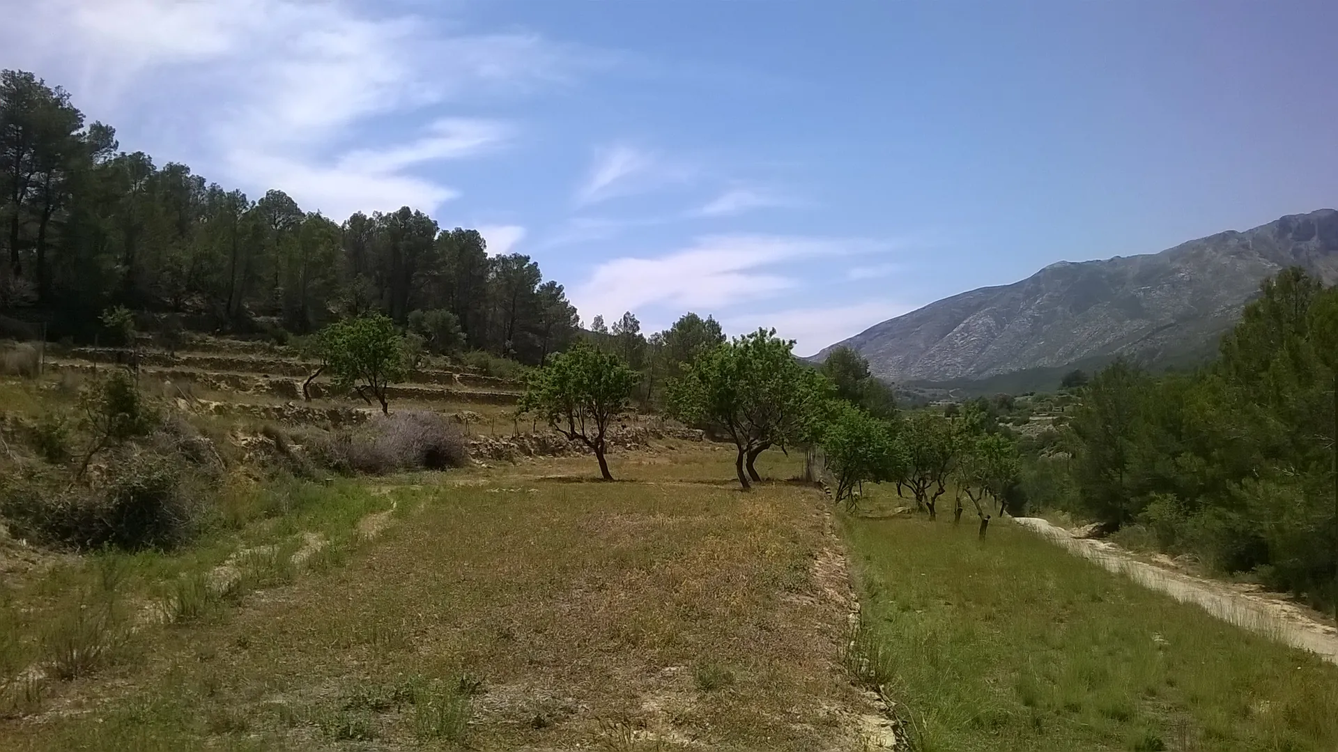 CR581390 - Parcela en venta en Benissa