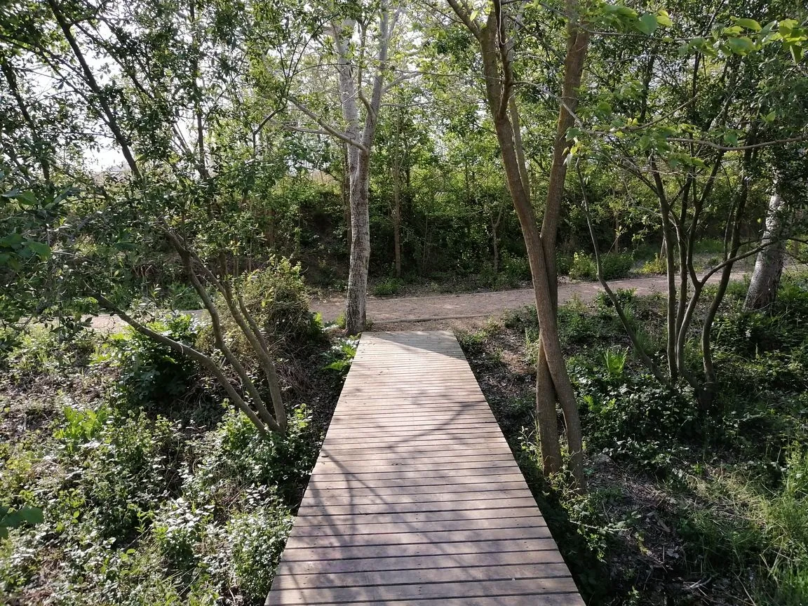 Finca en venta en Moraira