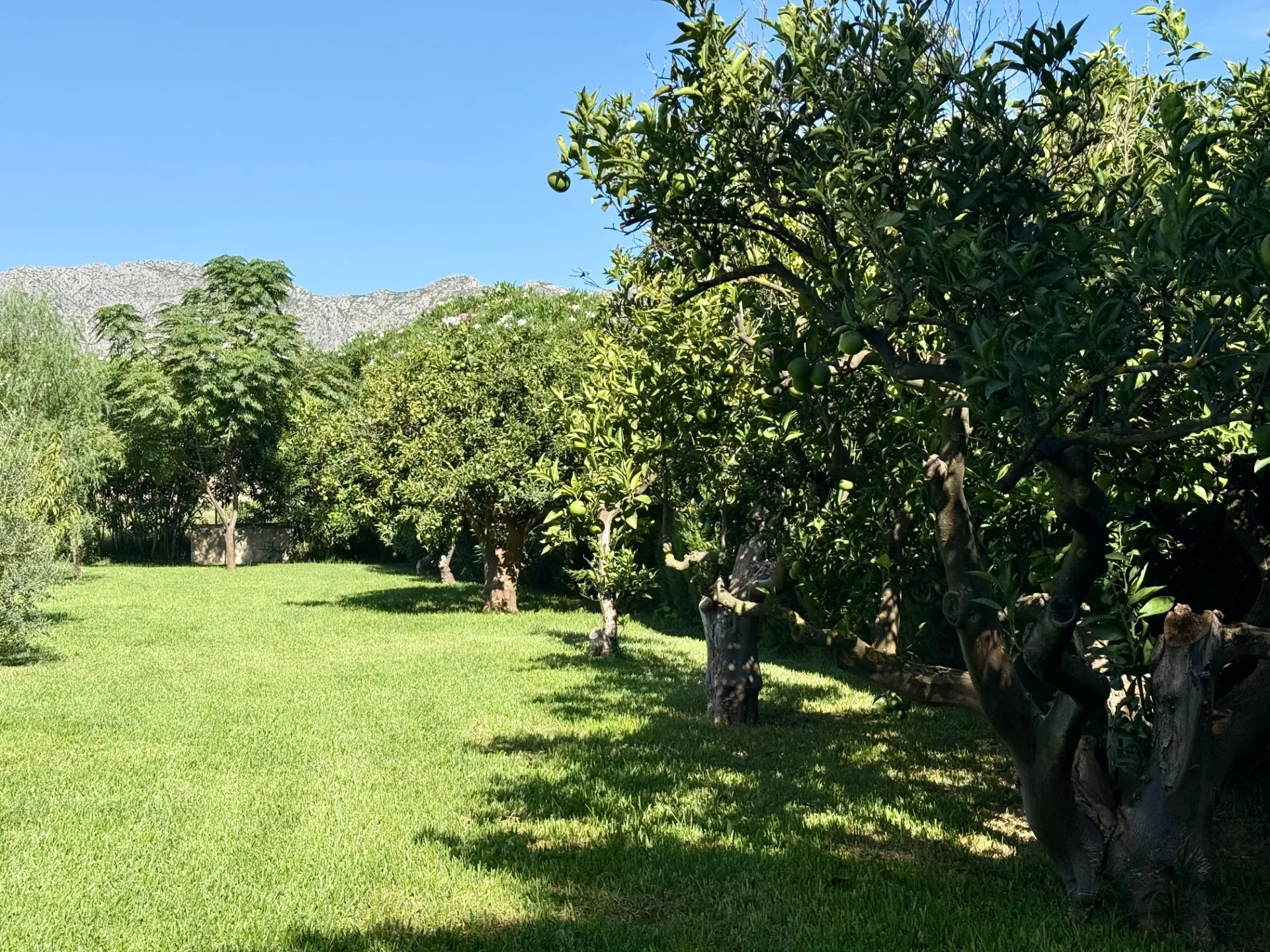 CR379002 - Chalet/Villa en venta en Denia