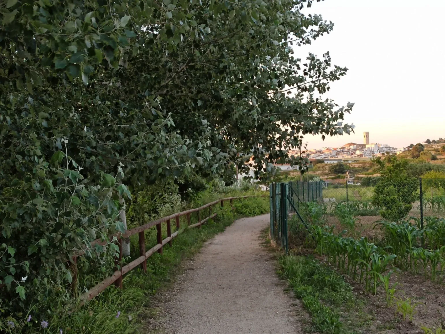 Finca en venta en Moraira