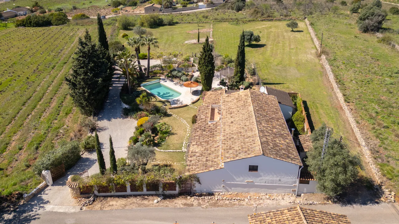 CR549784 - Finca en venta en Jalon