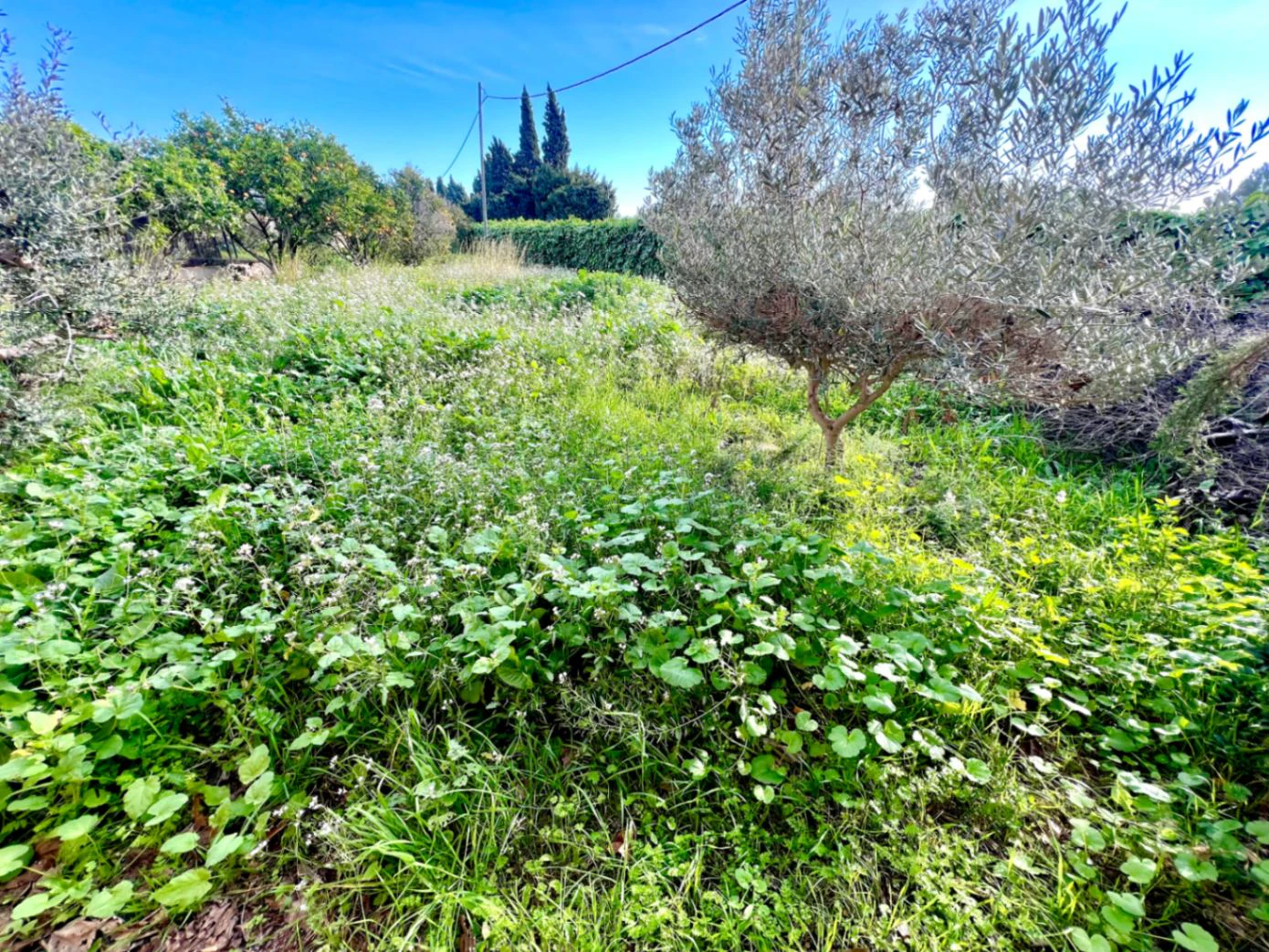 4687 - Vila rustique rénovée à Jávea près de la plage de l’Arenal