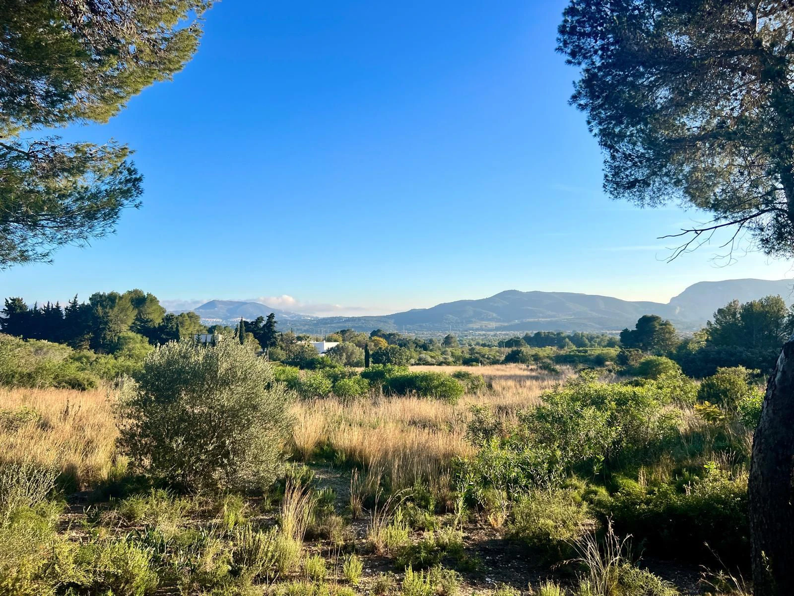 CRGG748936 - Large Building Plot on Montgo