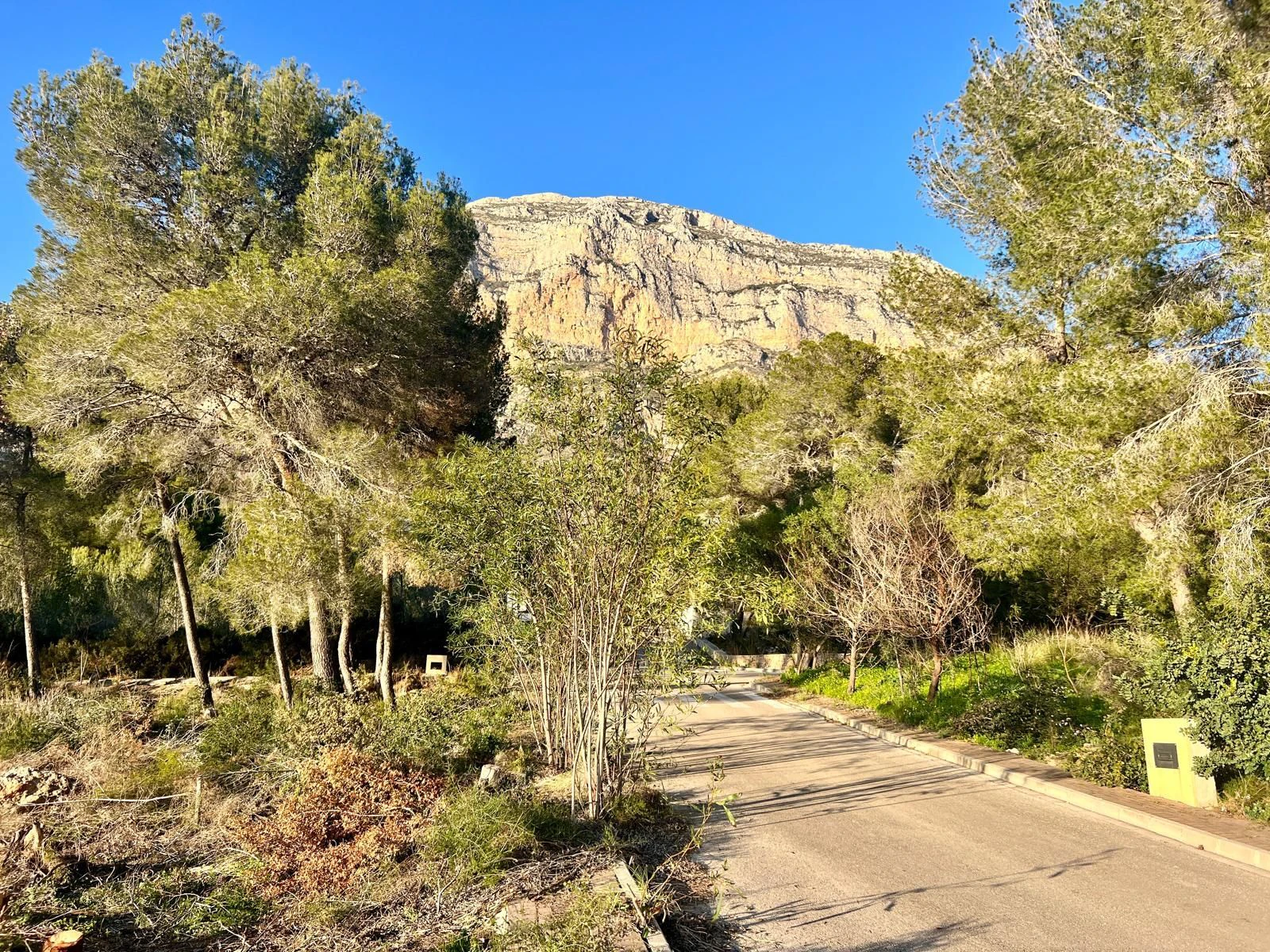 CRGG427197 - Building Plot on Montgo
