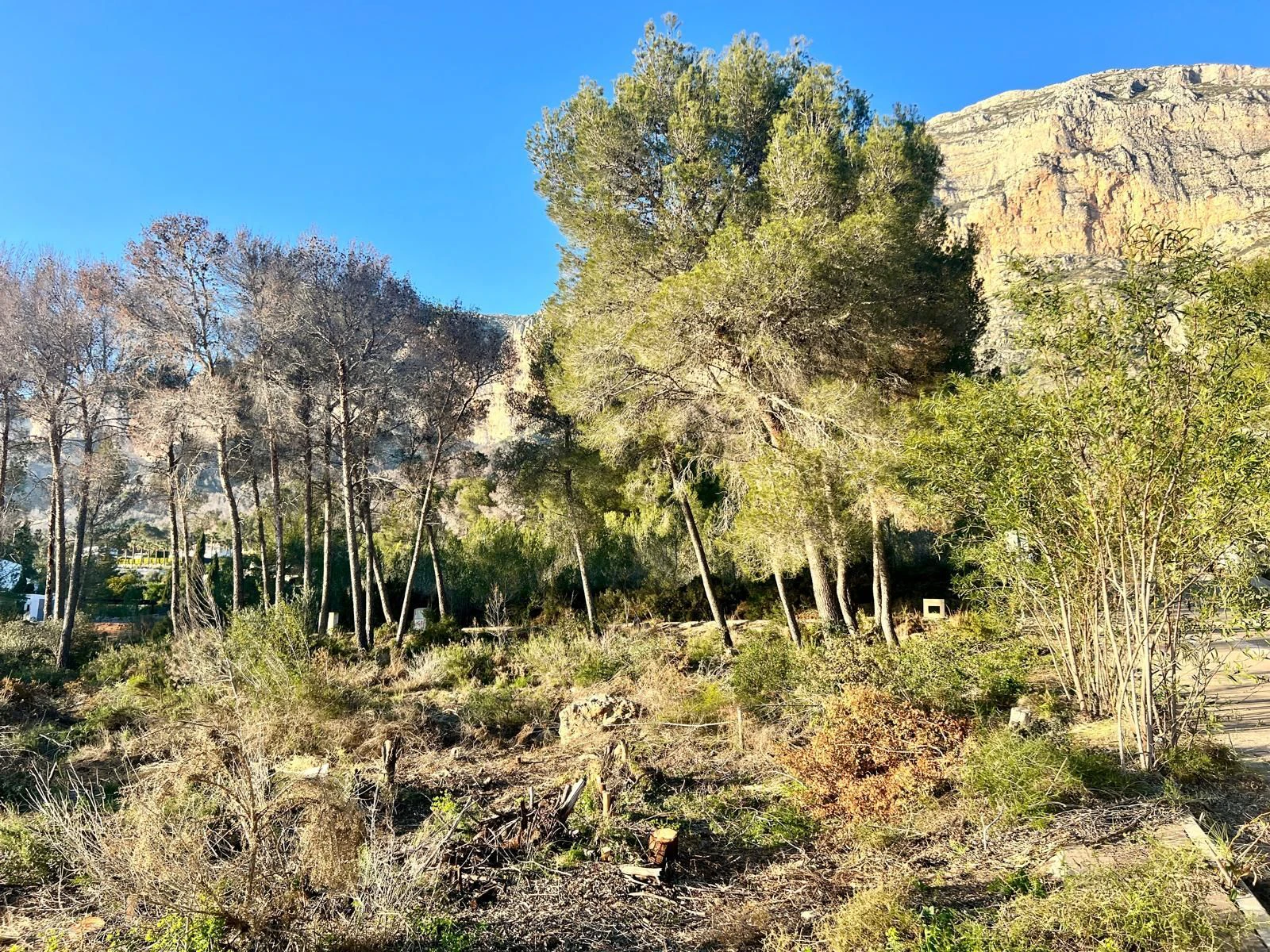 CRGG748936 - Large Building Plot on Montgo