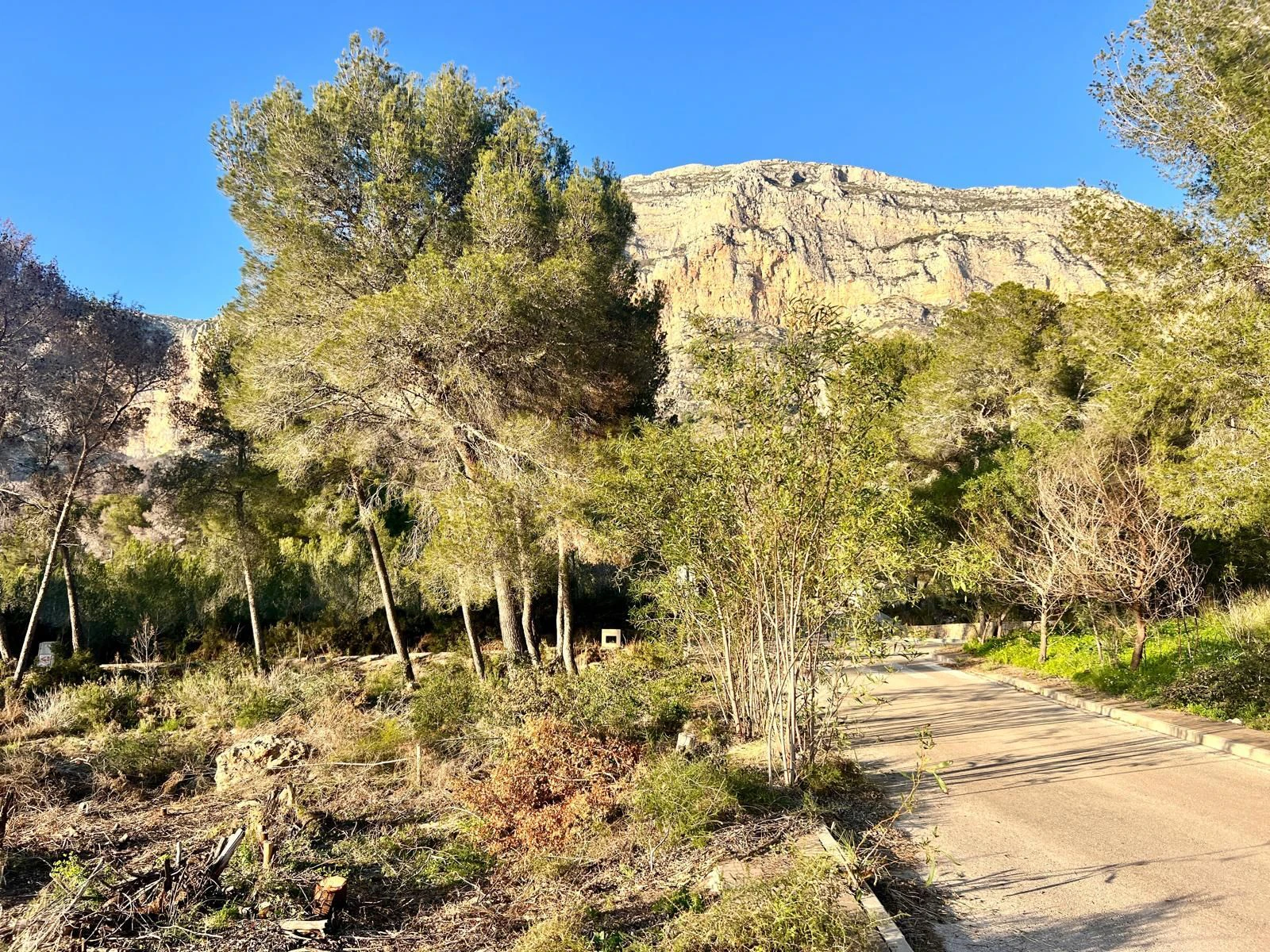 CRGG427197 - Building Plot on Montgo