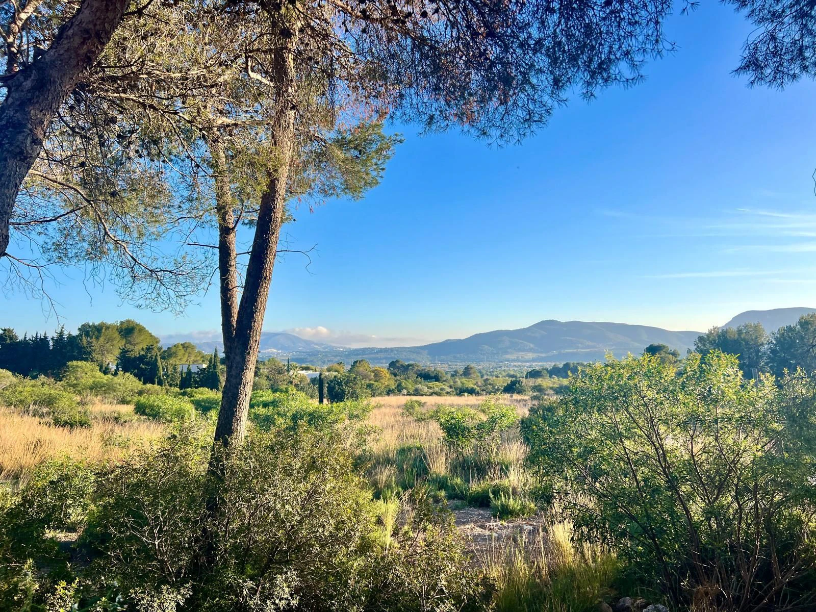 CRGG748936 - Large Building Plot on Montgo
