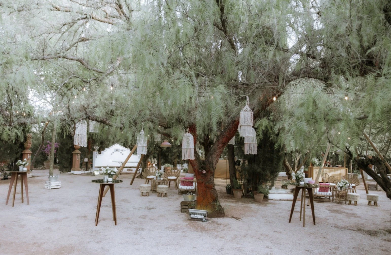 CR1053 - Finca histórica con explotación activa, en Olleria (Valencia)