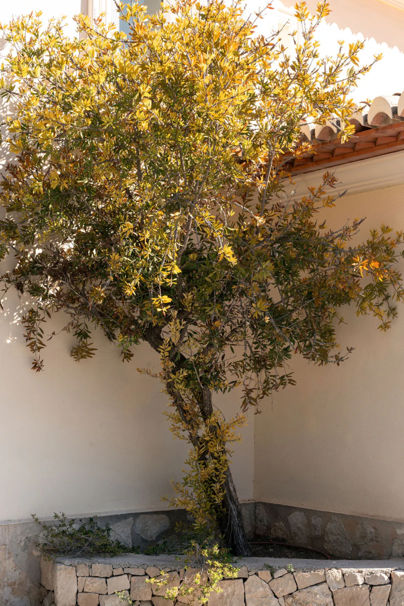 CRV123602 - Villa for sale in Jávea