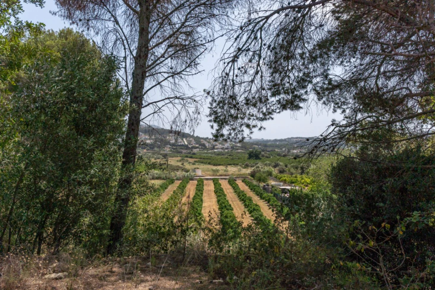 4388 - Villa avec vue dégagée dans un quartier calme à proximité du centre de la ville de Jávea