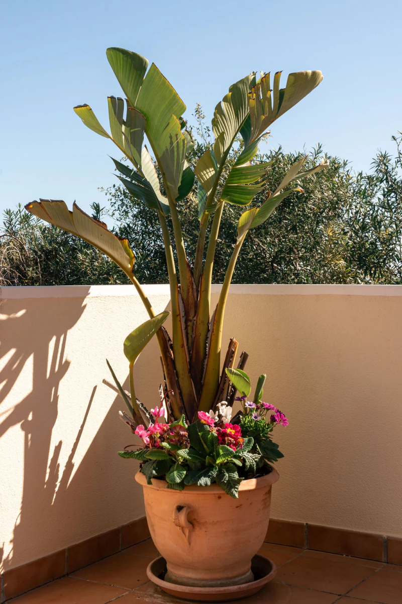 CRV123602 - Villa zum verkauf in Jávea