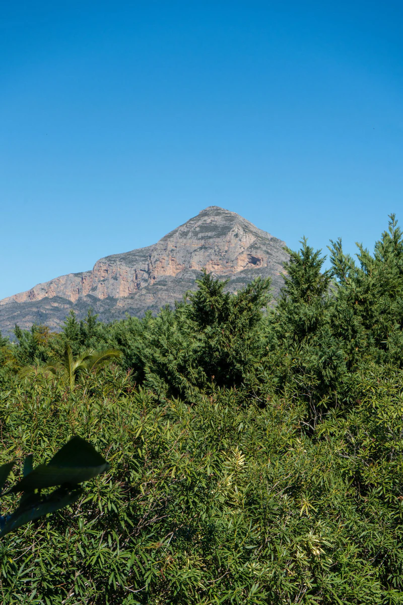 CRV123602 - Villa zum verkauf in Jávea