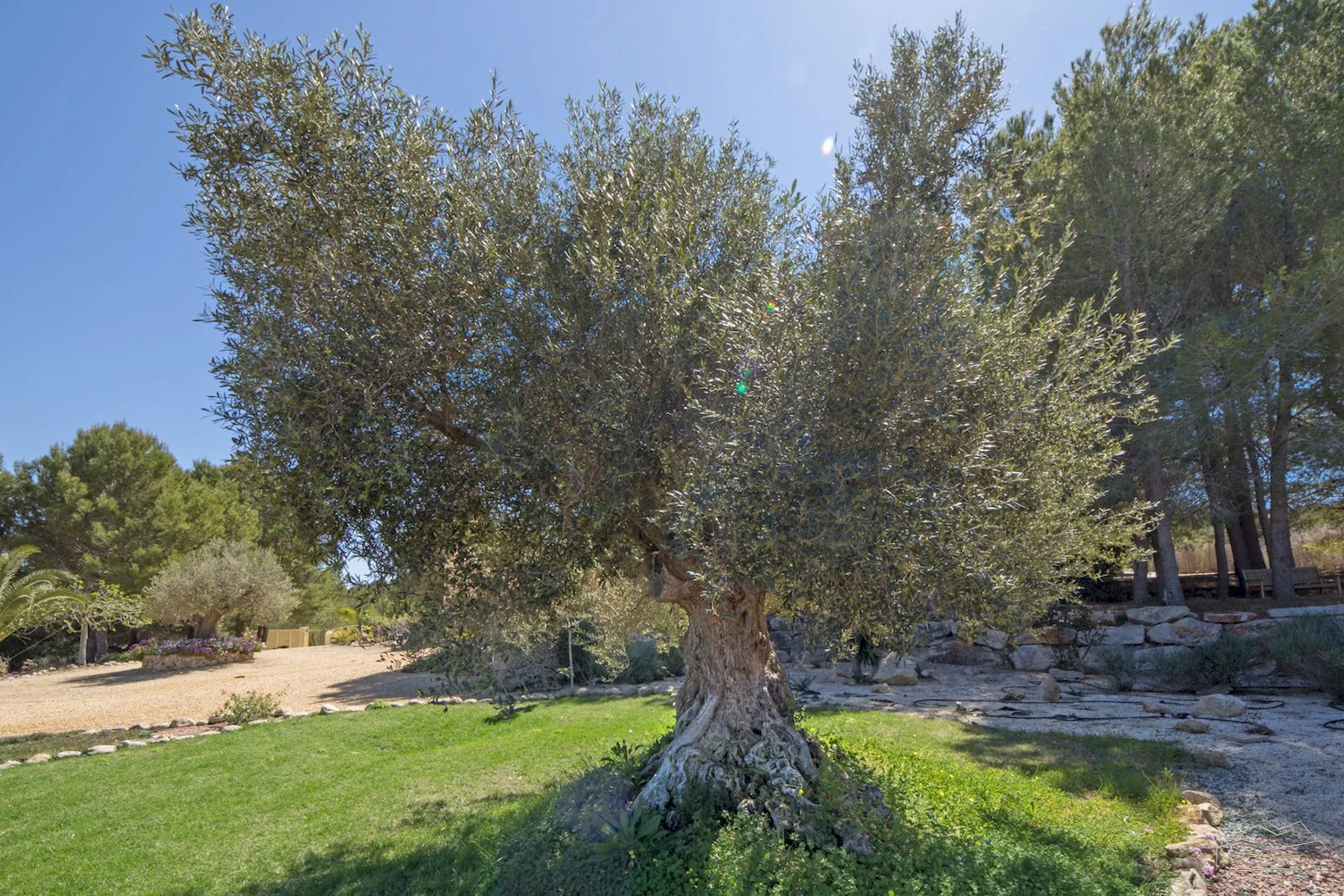 CR384541 - Villa à la vente à Javea/xabia