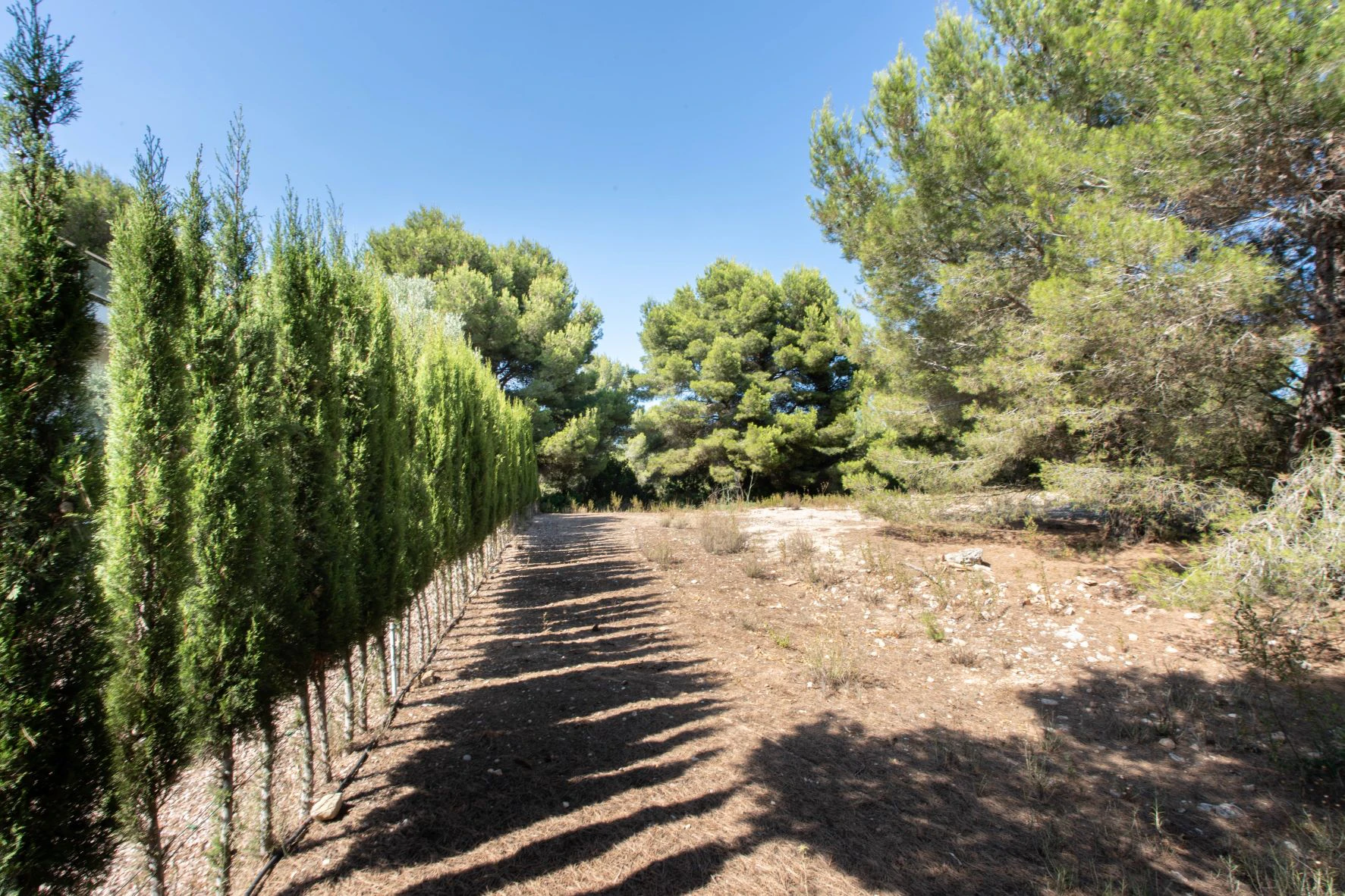 4105JAV - 4105JAV Terreno con vistas al mar en venta en Javea