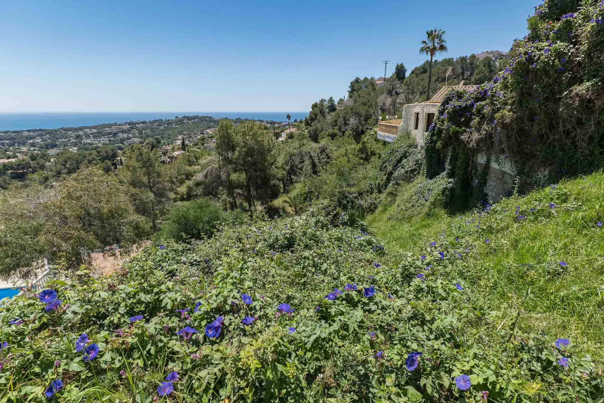 8338MOR - 8338MOR Terrain avec vue sur mer à vendre à Moraira.