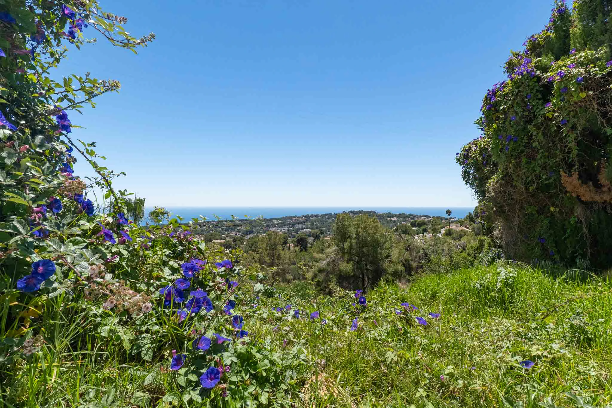 8338MOR - 8338MOR Terrain avec vue sur mer à vendre à Moraira.
