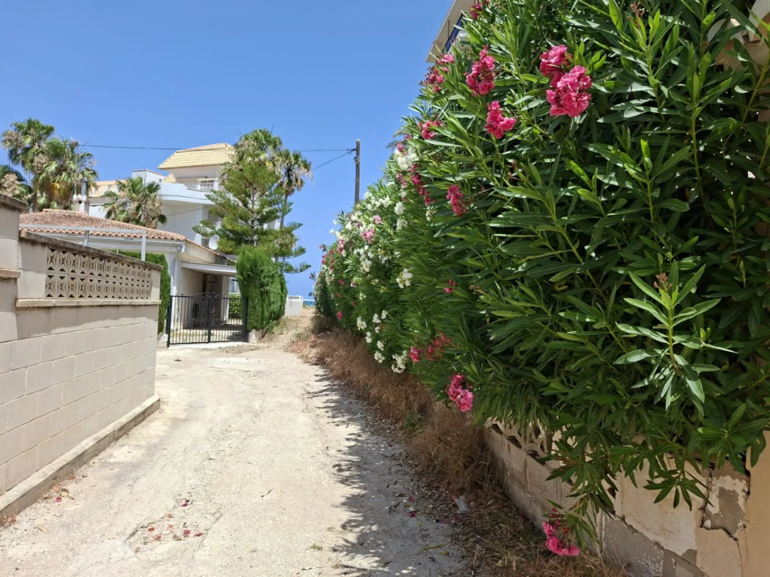 Appartement aan het strand van Denia