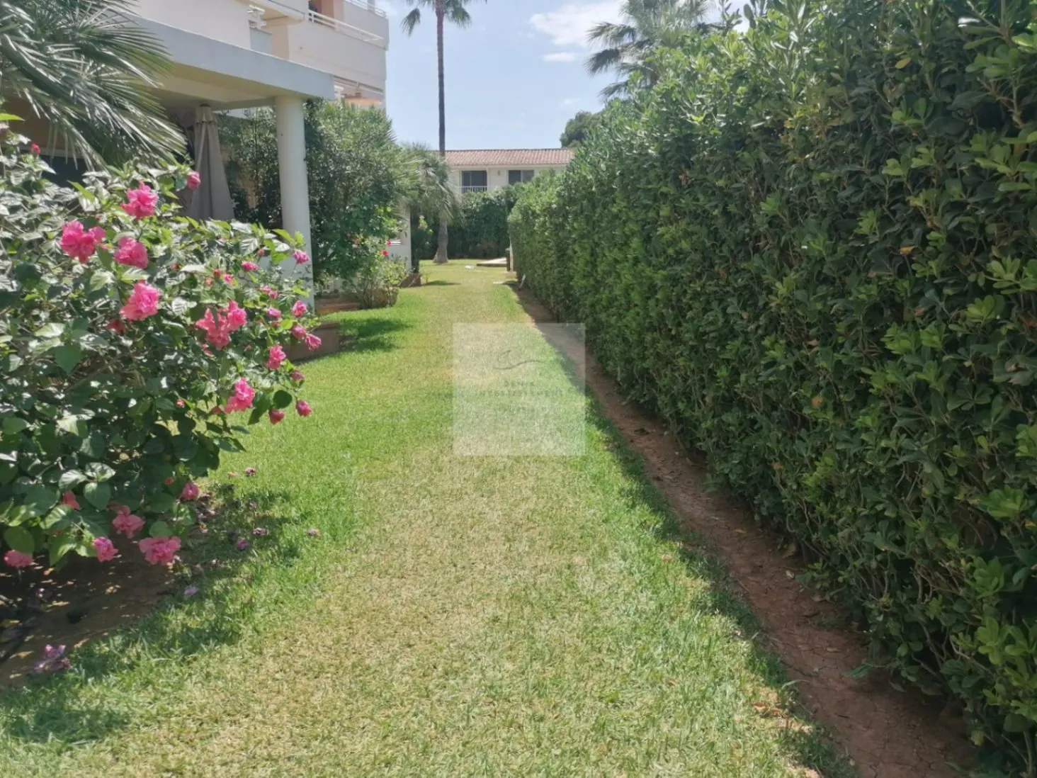Appartement aan het strand van Denia