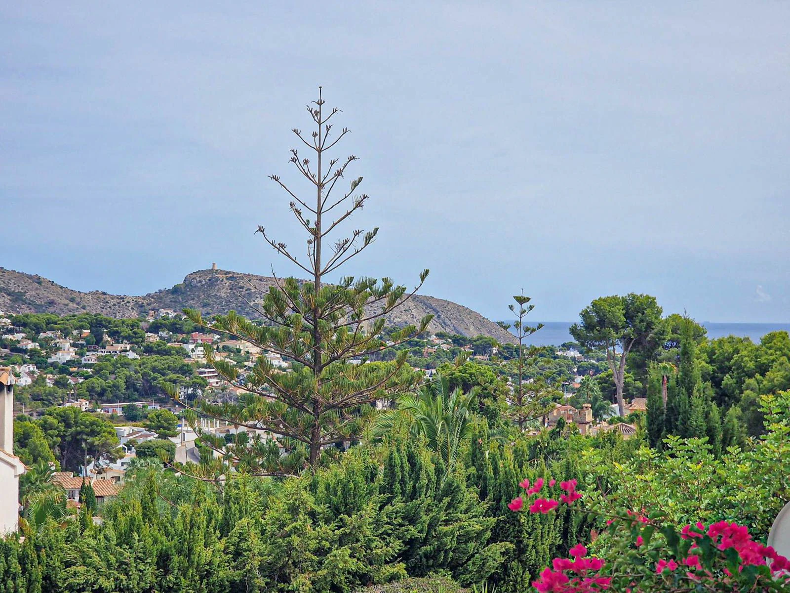 APT SORIA - TABAIRA MORAIRA