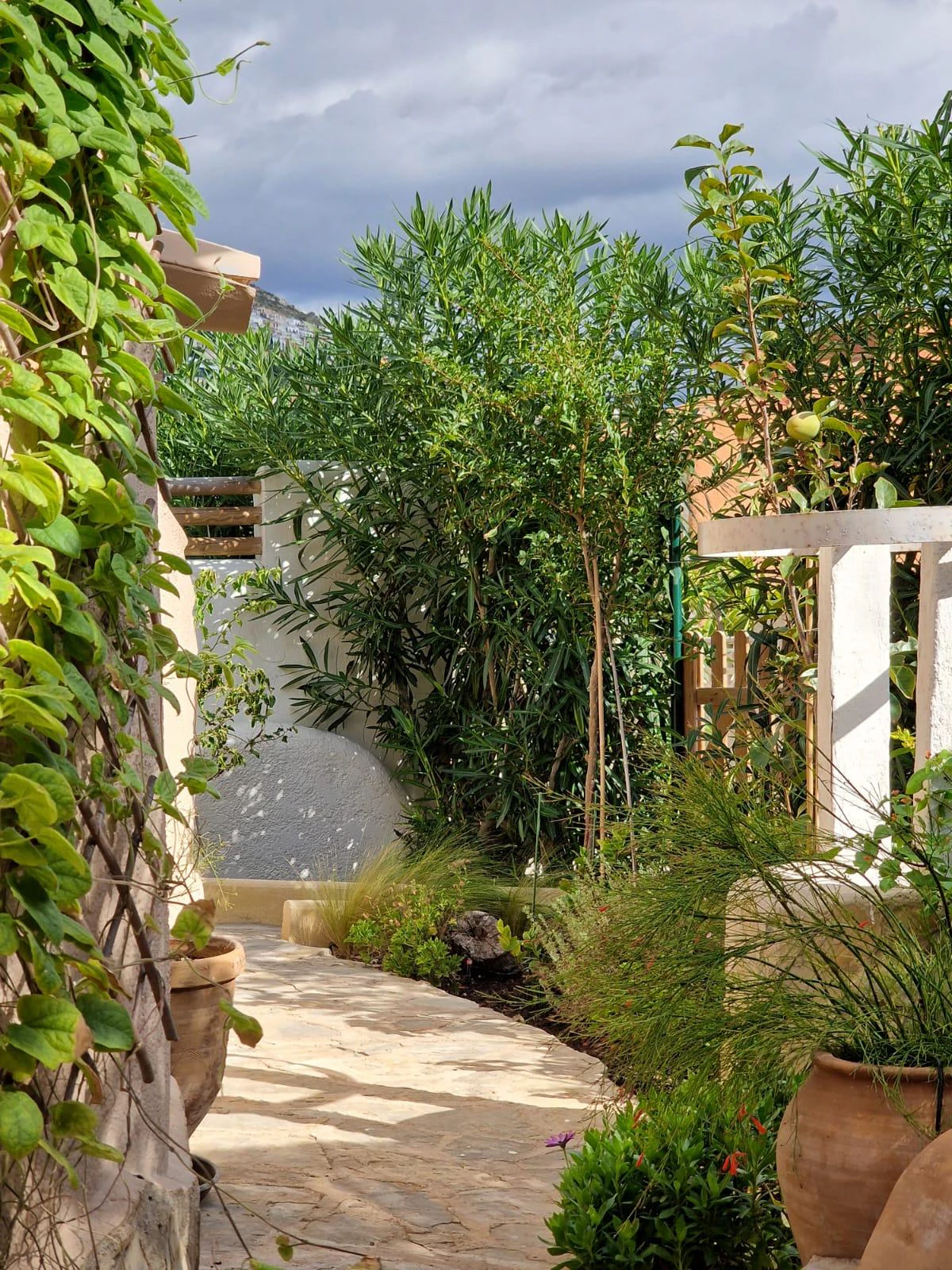 SUMMER RENTAL - PEACEFUL LOCATION