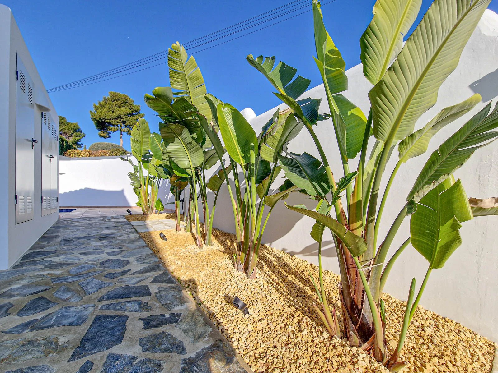 SUMMER RENTAL MORAIRA