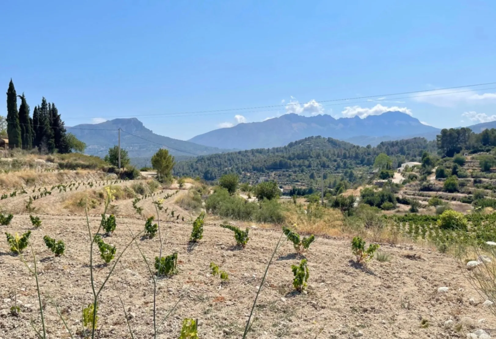 Traditional villa project with building permit for sale on a large plot in Benissa.