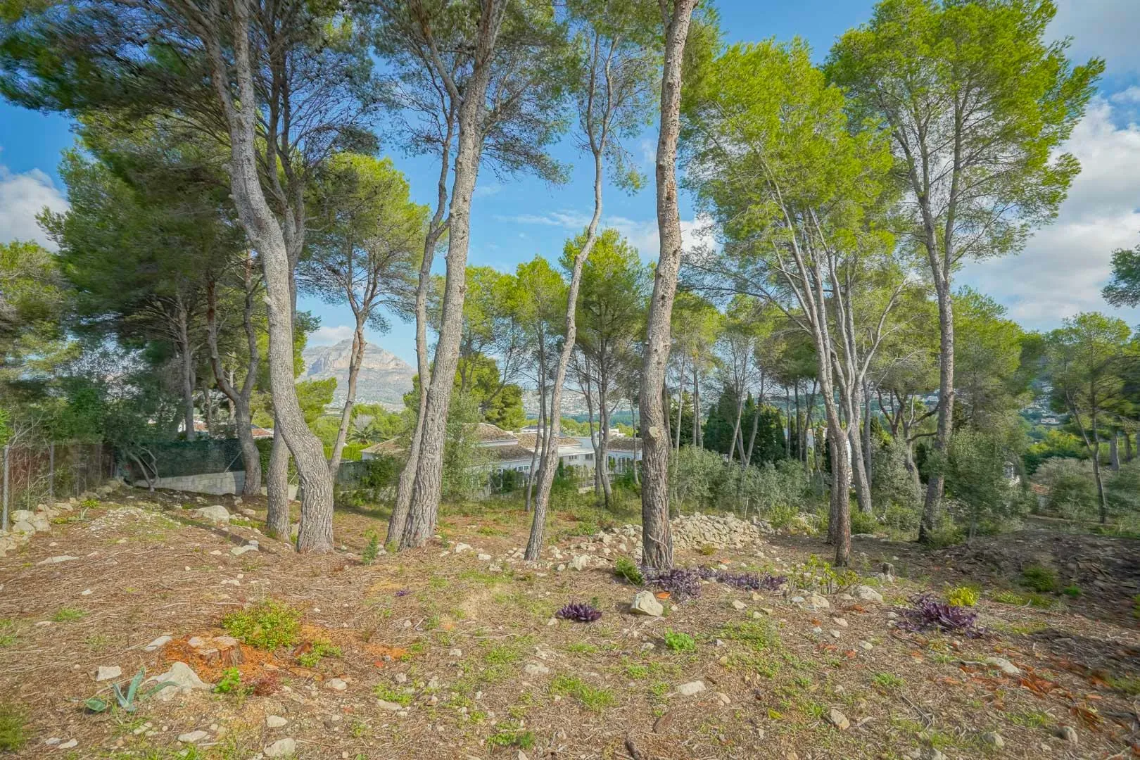 Ensemble de 5 Parcelles avec Villa dans l'Exclusif Urbanisation La Lluca, Jávea
