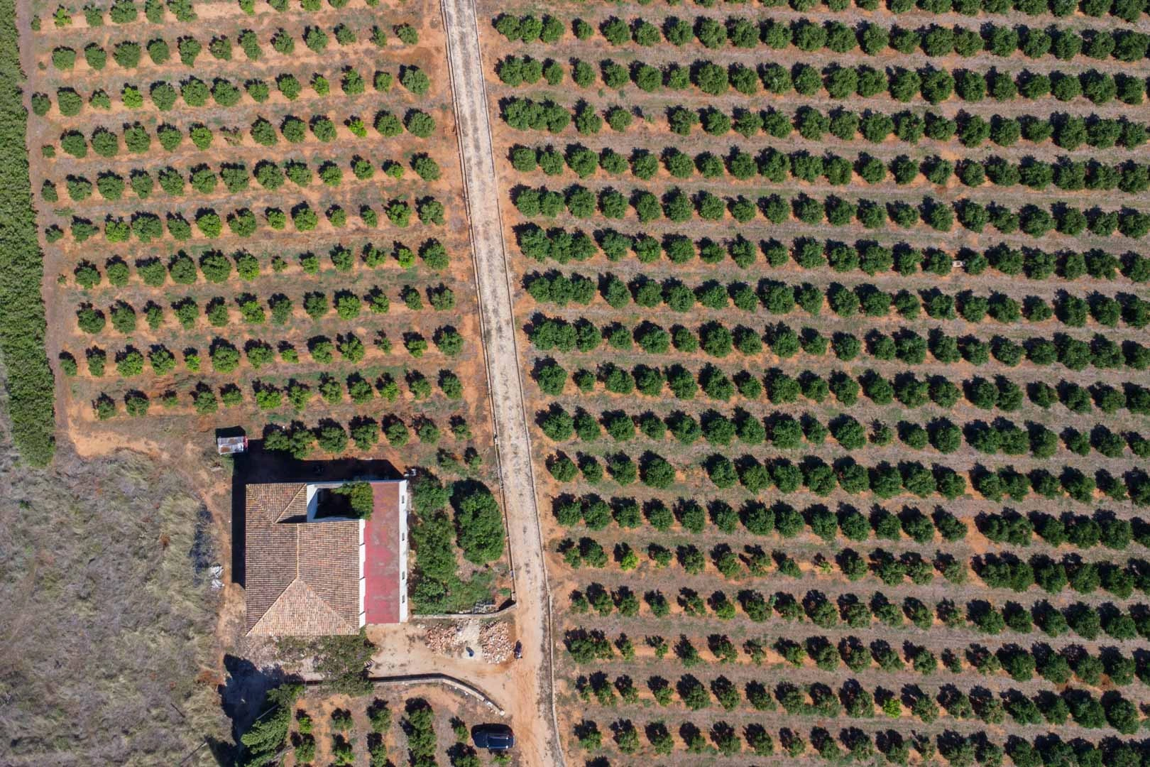 Casa de campo para reformar con gran parcela a la venta en Denia