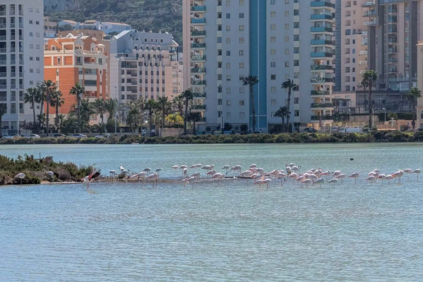 Villa moderna aún por terminar en venta en Calpe.