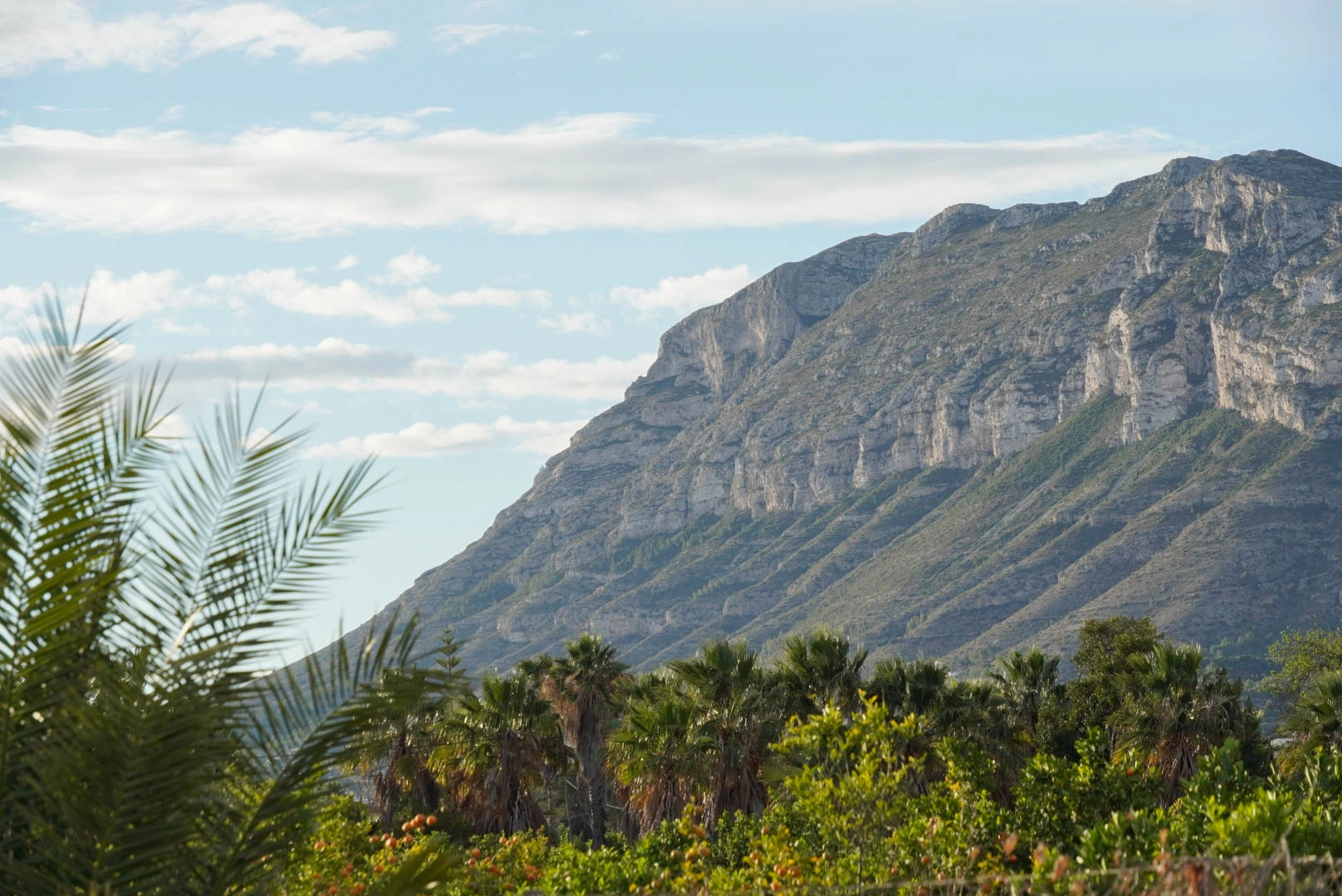 Bajo en venta con espacioso jardín y vistas a la montaña en Denia.