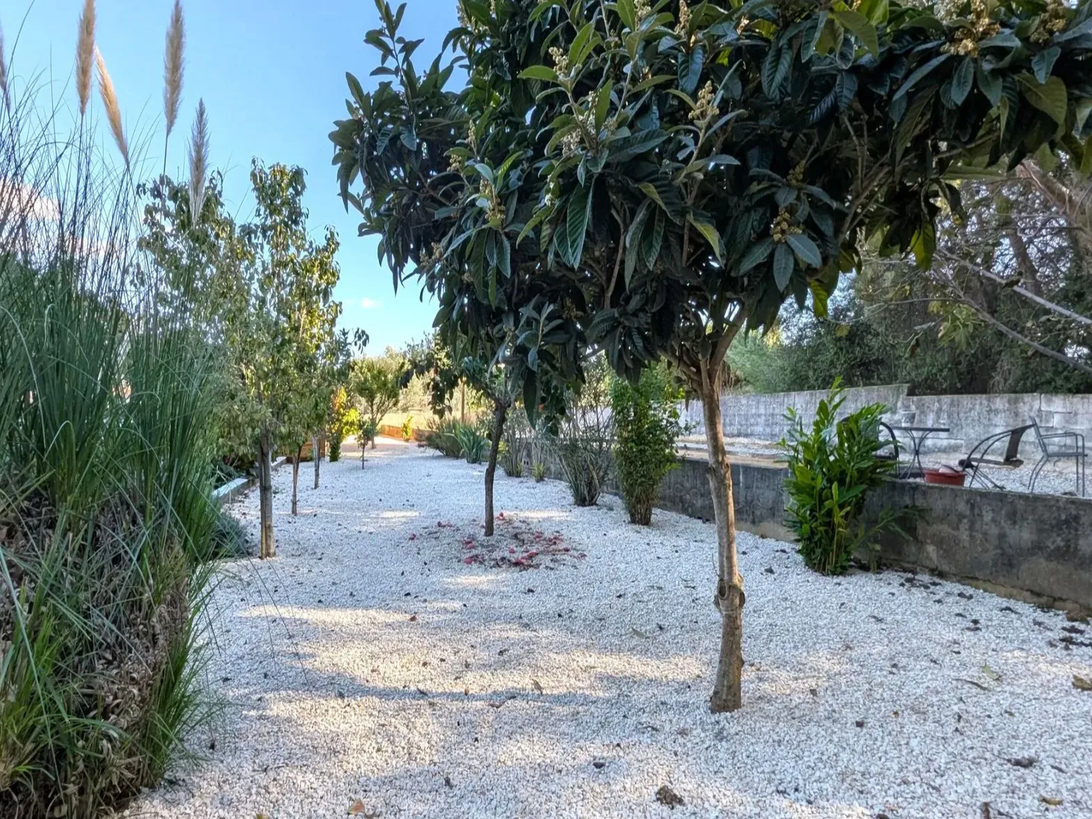 Villa de 3 chambres à vendre à Jesús Pobre