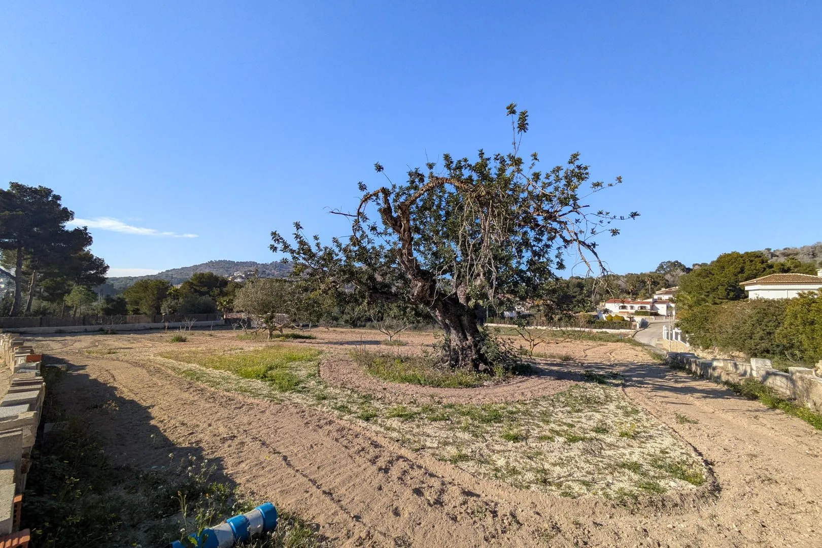Finca tradicional con múltiples parcelas en venta en pinosol-las laderas, Jávea
