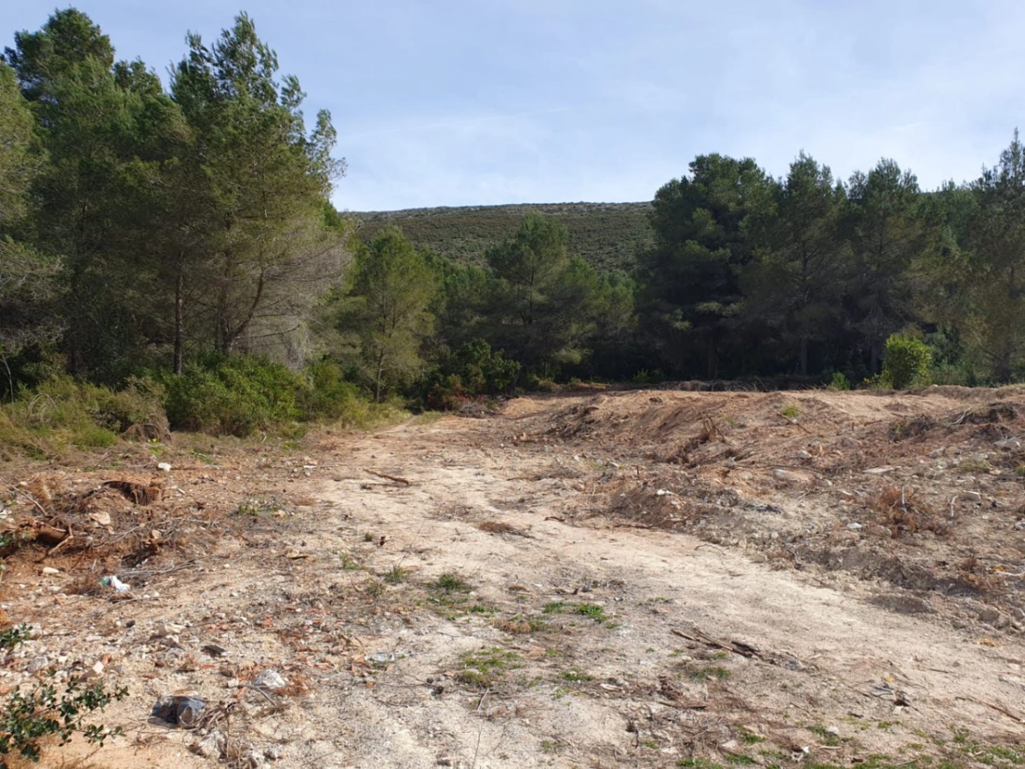 Plot with construction license for sale in Villes del Vent