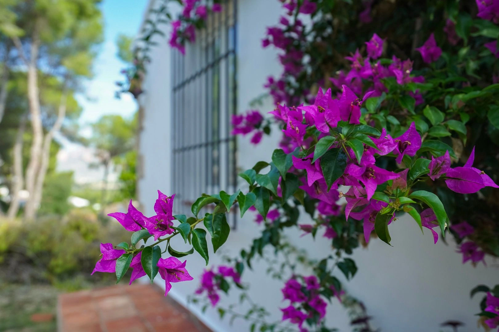 Villa en venta en La Lluca Jávea