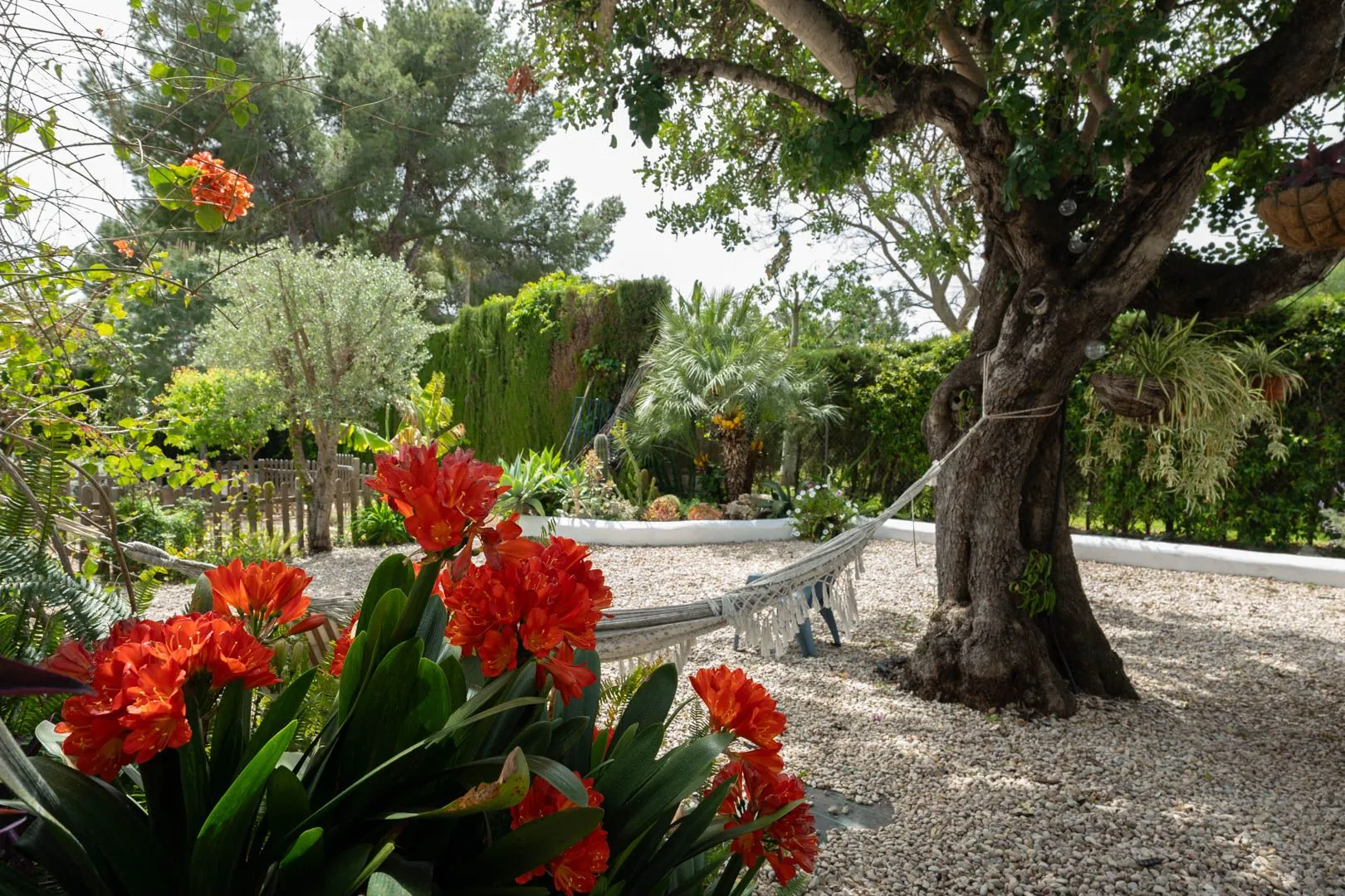 Charmante villa au pied du Montgó avec piscine et maison d'invités.
