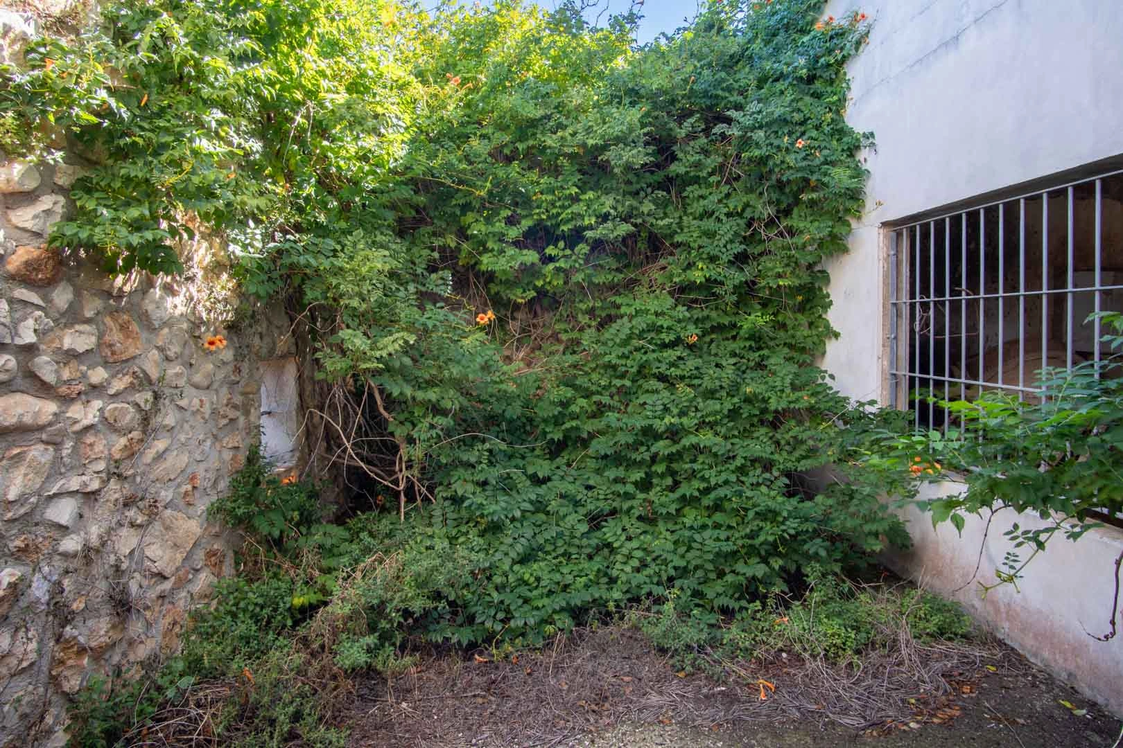 Casa de campo para reformar con gran parcela a la venta en Denia