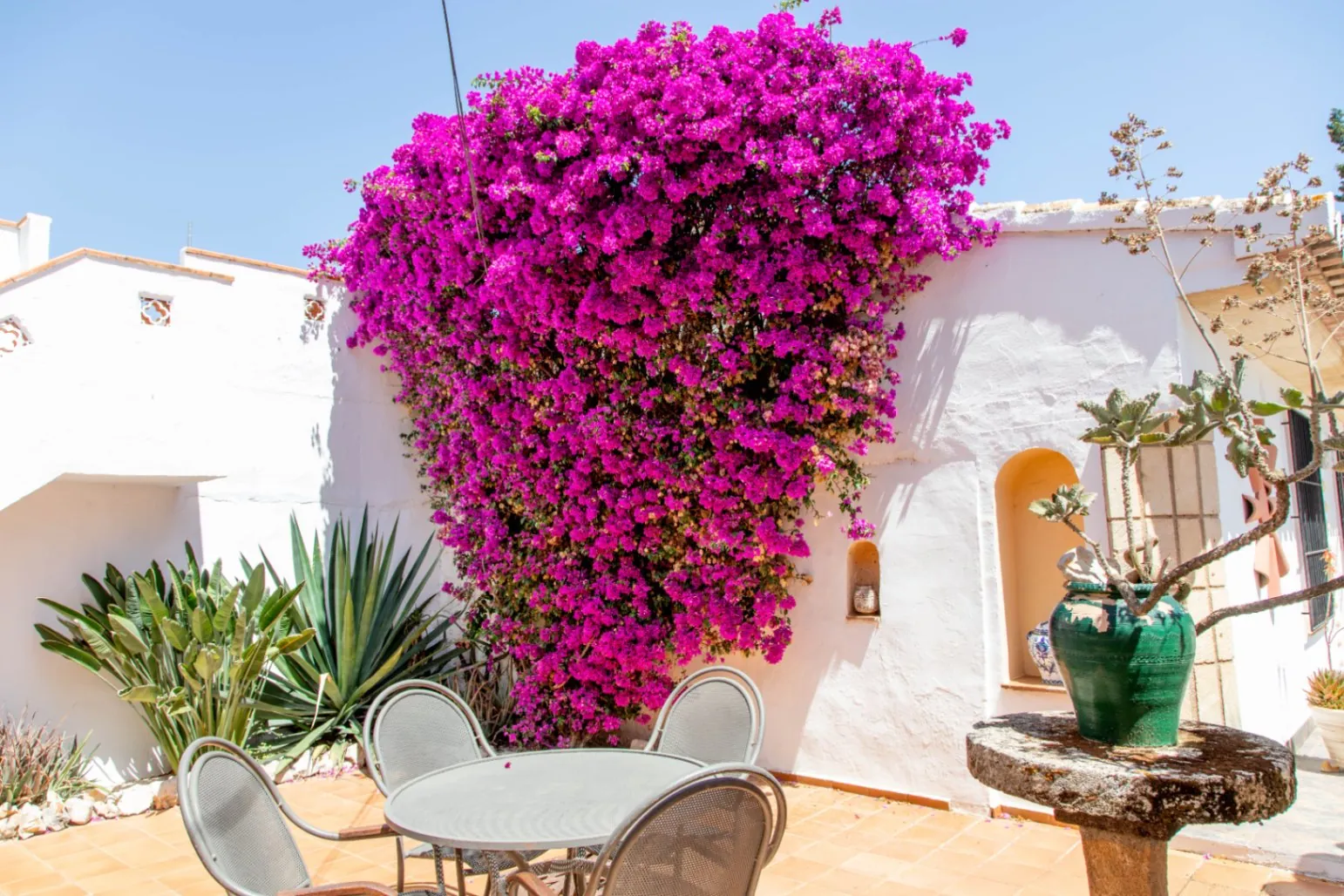 Finca de estilo rústico tradicional en venta en Pedreguer