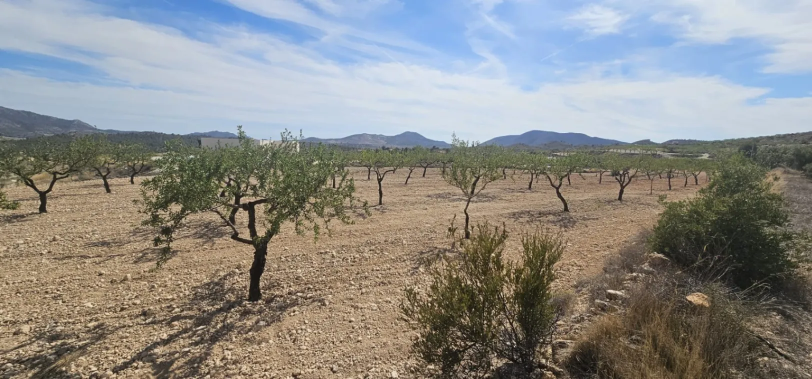 HON2502 - Land for sale in Hondón de los Frailes