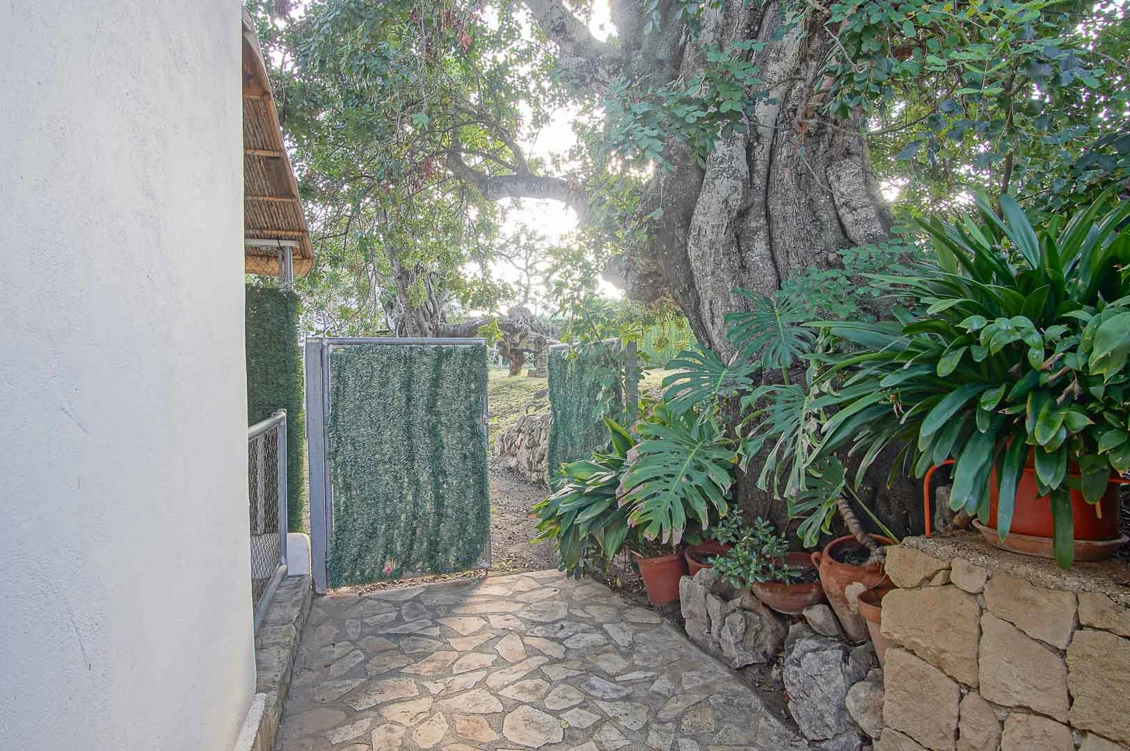 Charmante Villa im traditionellen Stil in der prestigeträchtigen Gegend von Puchol zum Verkauf in Jávea