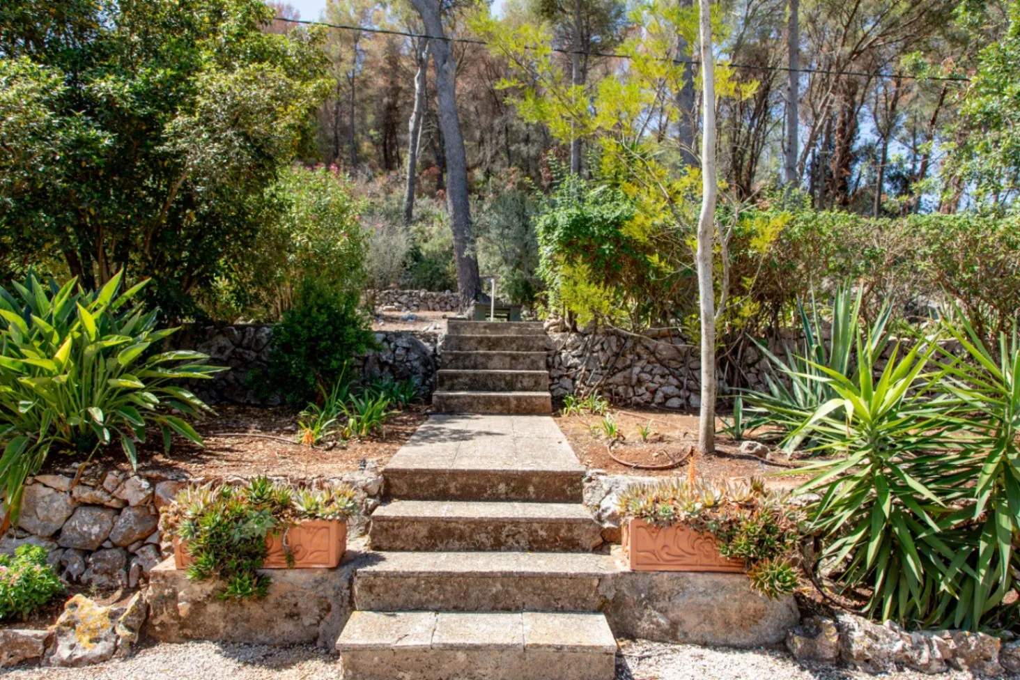 Finca de estilo rústico tradicional en venta en Pedreguer