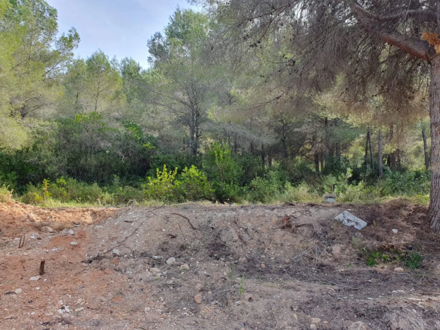 Plot with construction license for sale in Villes del Vent