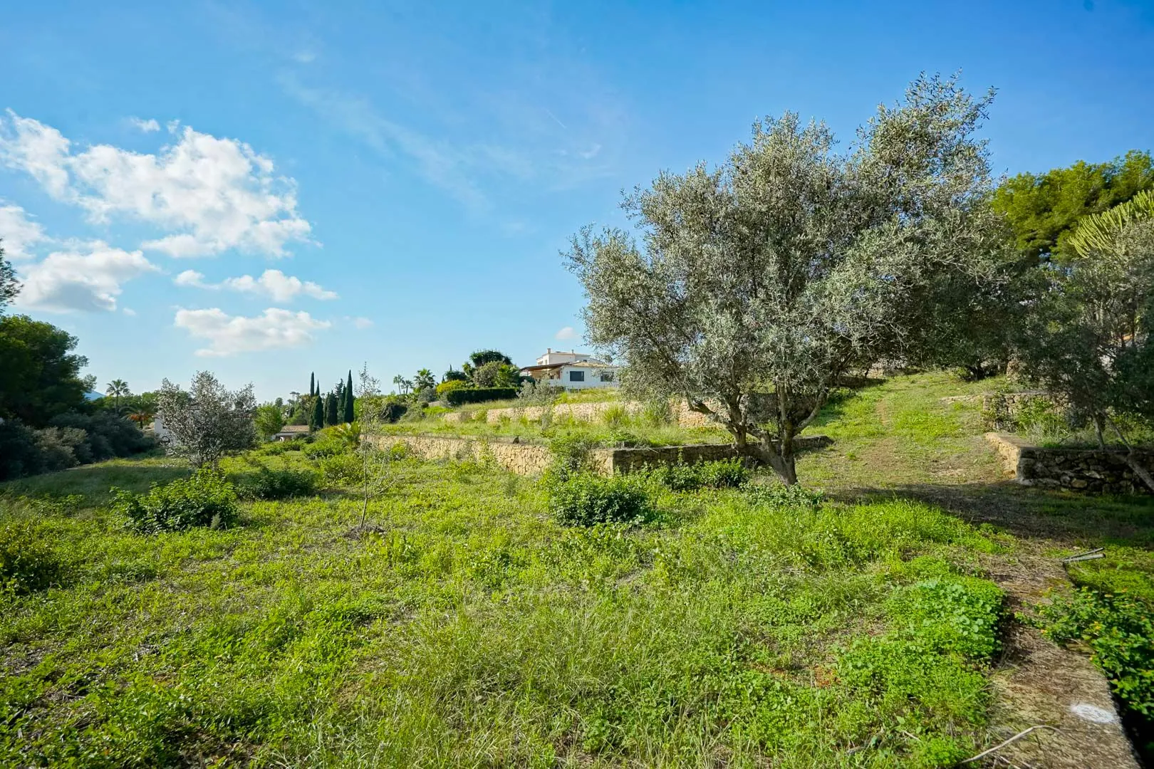 Ensemble de 5 Parcelles avec Villa dans l'Exclusif Urbanisation La Lluca, Jávea