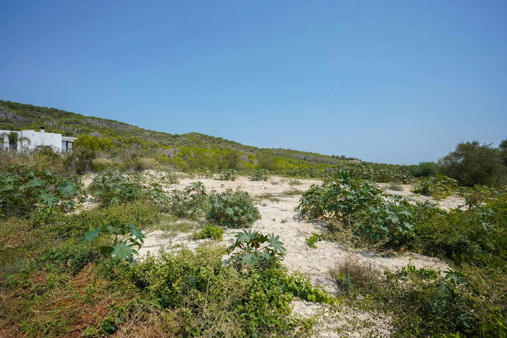 Terrain plat avec vues dégagées à vendre à Racó de Nadal, Benitachell.