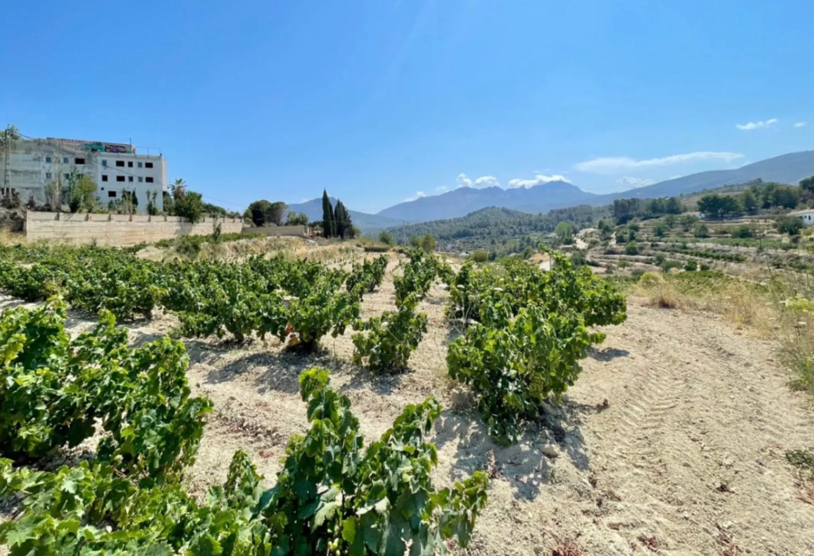 Traditional villa project with building permit for sale on a large plot in Benissa.