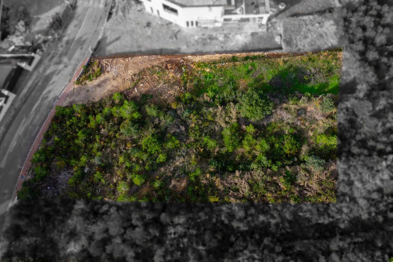 Parcela con vistas al mar, libre de constructor en venta en Javea